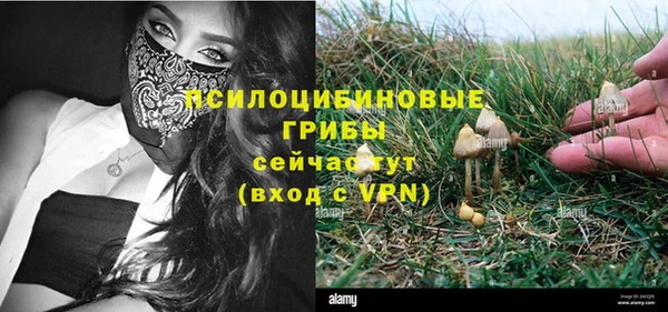 спиды Арсеньев