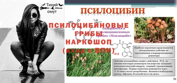 гашик Краснослободск