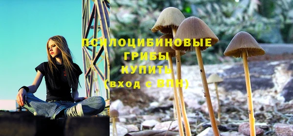 спиды Арсеньев