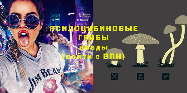 спиды Арсеньев